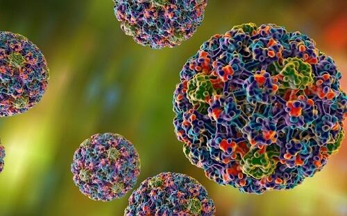 papillomavirus wat is dat