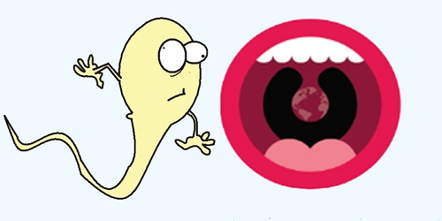 Tinh trùng x sống bao lâu trong miệng?