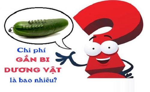 Chi phí gắn bi hết bao tiền? 4 địa chỉ gắn bi giá rẻ