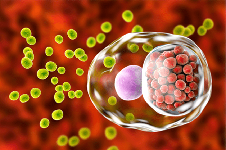 Nhiễm khuẩn Chlamydia là bệnh gì ?